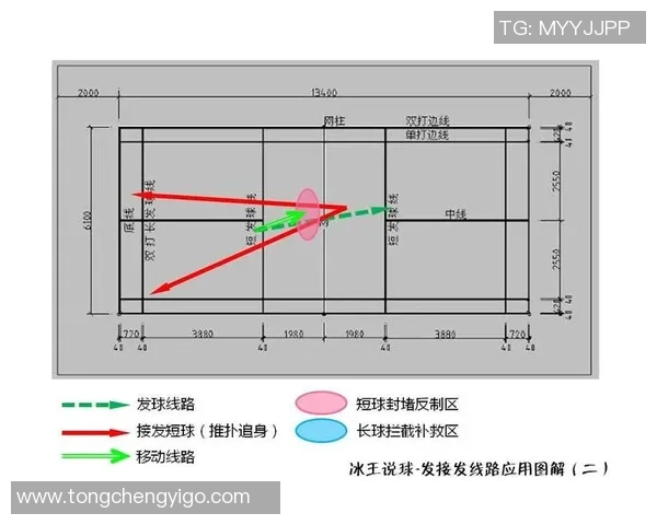 南京羽毛球队节奏表现的数据分析与战术研究探讨